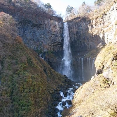 20vh4rXXwNfEPyI's profile picture. 楚は何者ぞ