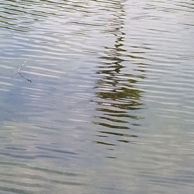 sathishravathi's profile picture. 