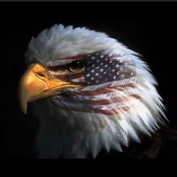 Nutmeg Patriot (@carloaa911) 's Twitter Profile