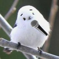 JDear. (@jdear_chen21) 's Twitter Profile Photo JDear. (@jdear_chen21) 's Twitter Profile Photo