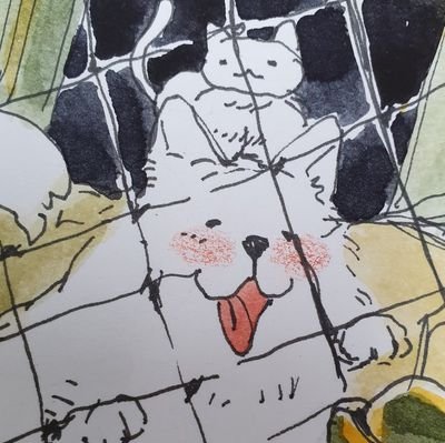 🐳さんのプロフィール画像