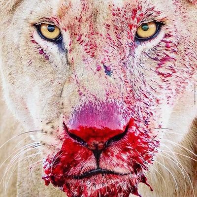 Sndp_Beniwal's profile picture. 