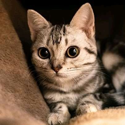 Abdulwa68191222's profile picture. 