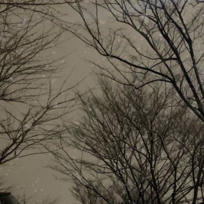 Woo__si__k's profile picture. 