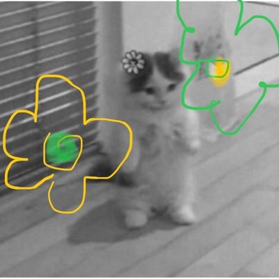 @bts_twt | 알괘스지뢰 | n인 맞괄좀 !..! 선뎀 조와해