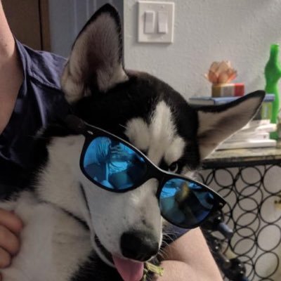 Tournament Organizer | Software Engineer |DK for the swag, ZSS for the bag, Roy…| pfp is my actual dog https://t.co/UN40WshID7