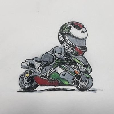 バイク:Ninja250SL （修理中）＋ZX-6R（C型）+コルト（VerR）
カメラ:EM10はうってD810

無言フォローすみません