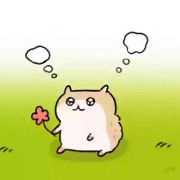 shinoyakedo's profile picture. 私が決める私のプライオリティ