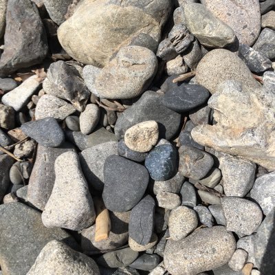 peputsu's profile picture. 