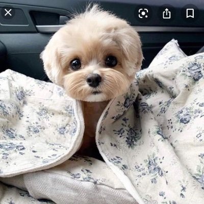 RageAga19016247's profile picture. Liberte, egalite, fraternite