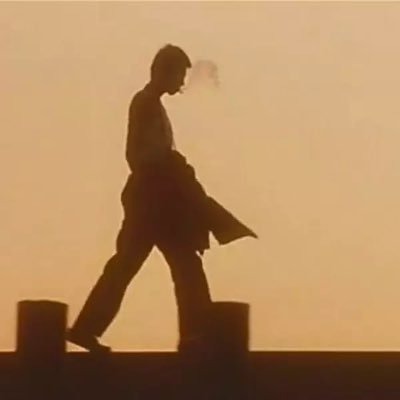 zqz20291432's profile picture. 