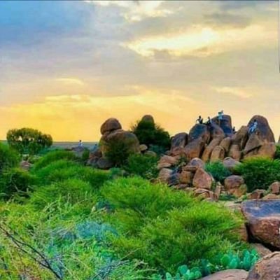 MaxametSharmake's profile picture. 