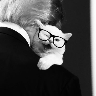 Abudi61752138's profile picture. 