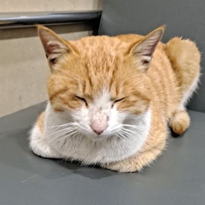 elqvpdlzm_chdrh Profile Picture
