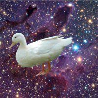 BenLarsenMusic (@benlarsenmusic) 's Twitter Profile