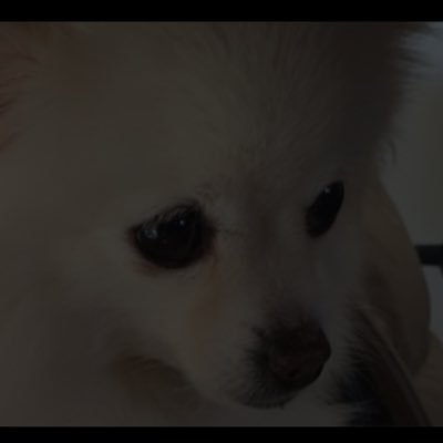 Zachariayayayayayayayayayayayayyayayayayayayayayaaさんのプロフィール画像