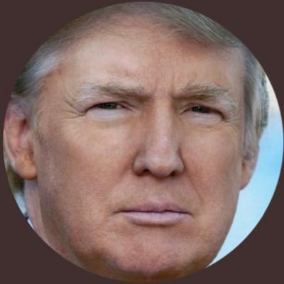 AmandalandUsa's profile picture. 🍿Spoiler Alert: Covfefe🧃✨