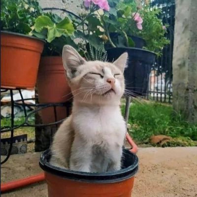 maaraPS's profile picture. Video editor - Freelance 🖥