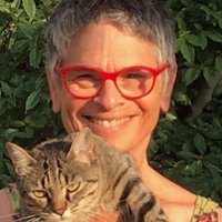 Judith Levine - @JudithLevine Twitter Profile Photo