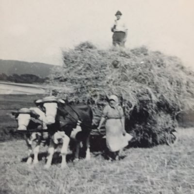 Benione_cbonara's profile picture. 