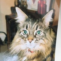 Hettie Bagshot (@hettiebagshot) 's Twitter Profile