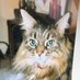 Hettie Bagshot (@hettiebagshot) Twitter profile photo Hettie Bagshot (@hettiebagshot) Twitter profile photo