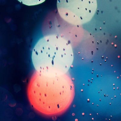 SterFl's profile picture. 