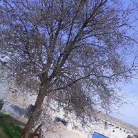 Fatmanur Karadeniz (@fatmanurkarade8) Twitter profile photo