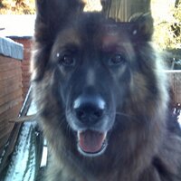 Chloe Lane (@chloecrazy) 's Twitter Profile