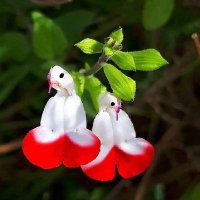 María Angelica (@maraang24460345) 's Twitter Profile Photo María Angelica (@maraang24460345) 's Twitter Profile Photo