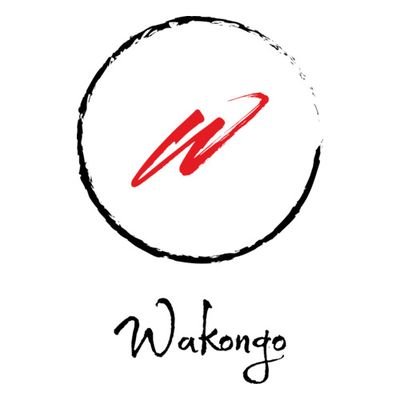 Reconnecter explorer et transmettre l'histoire et la culture africaine & afro descendante 

IG : _wakongo _
