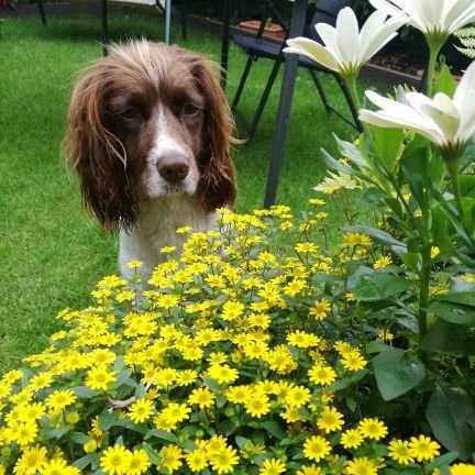 hannah_jumelle's profile picture. 