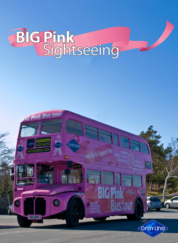 Big Pink Sightseeing is a fun way to explore various cities; while riding a big pink bus! $1 of each ticket sale is donated to local breast cancer foundations.