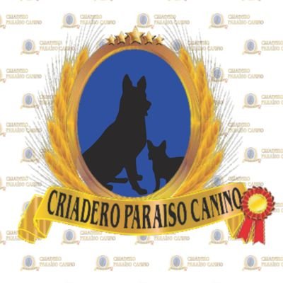 cachorros de todas las razas; con los mas altos estandares de pureza