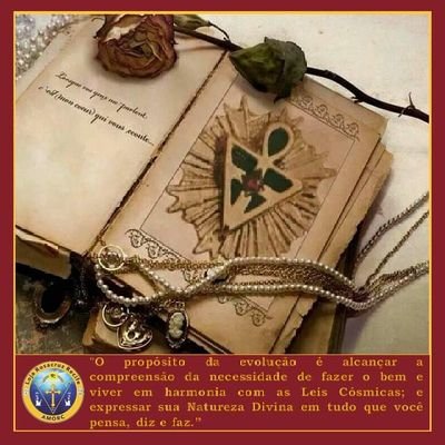 soldiermedic048's profile picture. 