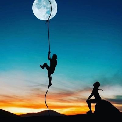 Umar_b_Bashir's profile picture. 