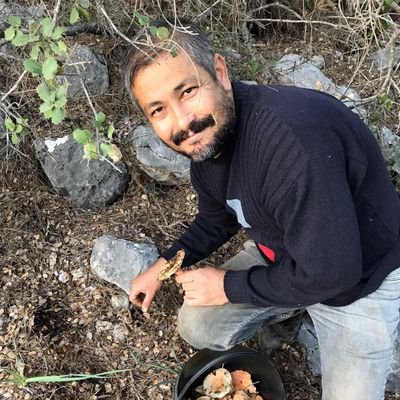 Selamincel3's profile picture. 