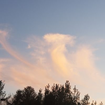 MMonts's profile picture. 