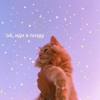 Я тот Саня, что не в порядке
И вообще
Я запутався