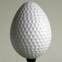 The Dimpled Egg (@pacebarry) 's Twitter Profile
