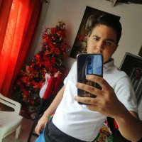 Leandro Peñaranda. (@faiberpearanda3) 's Twitter Profile