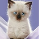 Grace Goddard - @gracegodd123 - Twitter