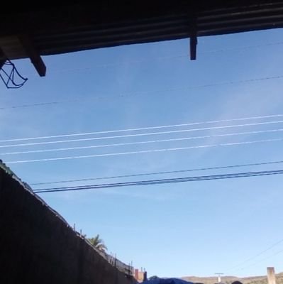 JairoFu55088347's profile picture. 