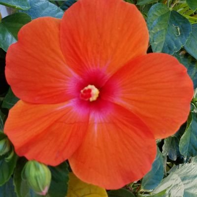 MariaWA21617338's profile picture. 