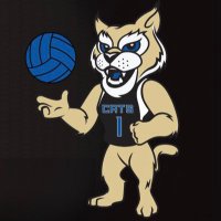 Culver-Stockton Women's Volleyball (@cscwomensvb) 's Twitter Profile