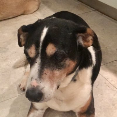 karen_kld's profile picture. Run NPO Kids Etc & Barefoot No More.....helping underprivileged kids in South Africa.