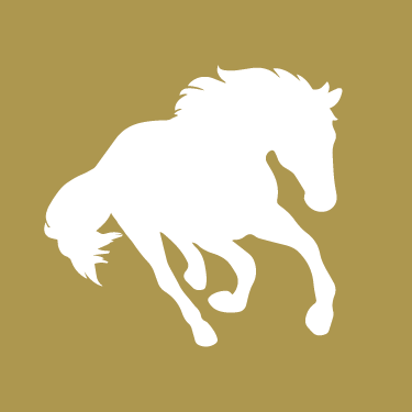 Online equine courses at https://t.co/yxbIj9ilwv.
This Twitter / X account is inactive. Find us on Facebook, Instagram, Threads and LinkedIn.