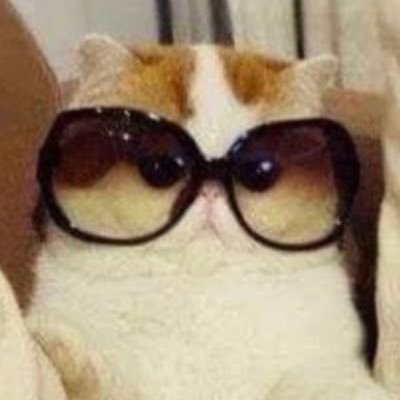 CanadaMid's profile picture. Happy to be a Canadian! Elbows Up 🇨🇦🌊💙🌈🐕🐈‍⬛ 🇺🇸 🇺🇦 🥥🌴 🟧. No amount of evidence will ever persuade an idiot.