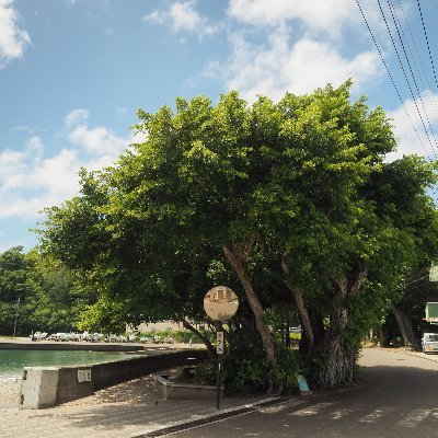 母島部活堂の活動紹介をしていきます。