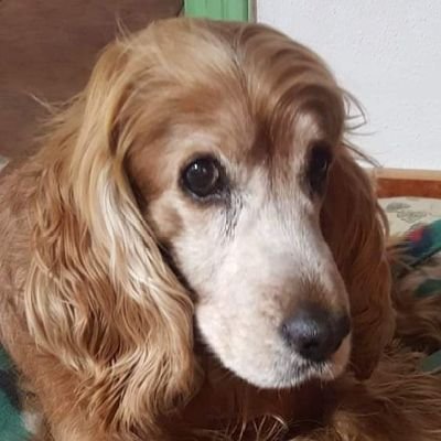 Carlo_En_62's profile picture. Libero